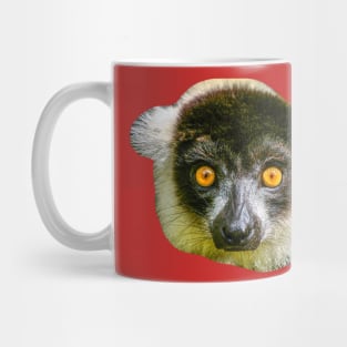 black and white Ruffed lemur looking at you Mug